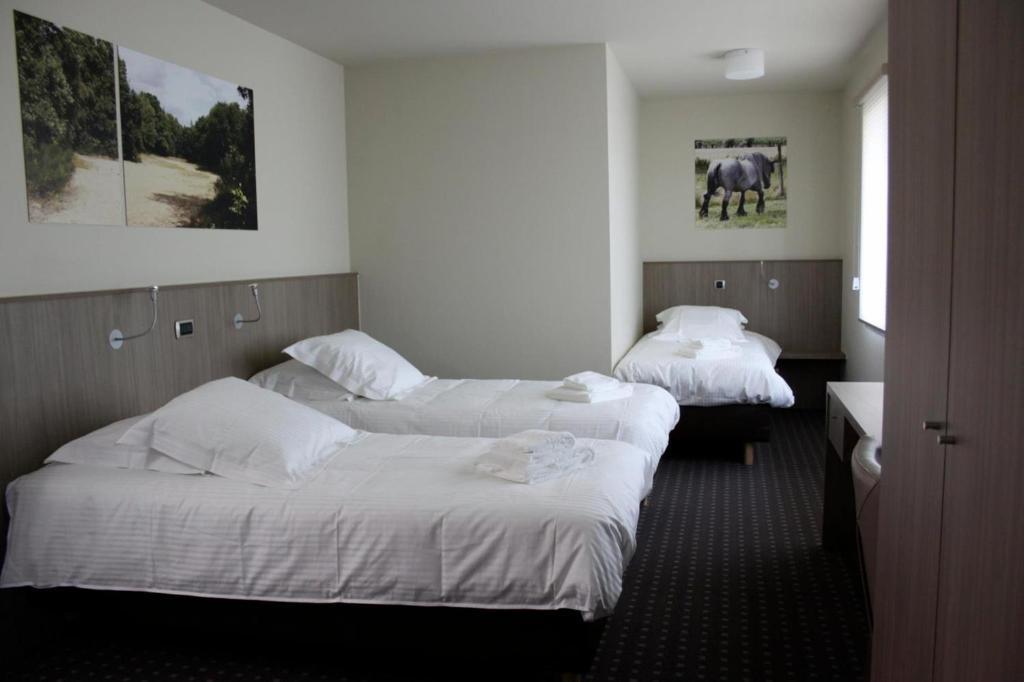 Hotel Otus Wetteren Zimmer foto